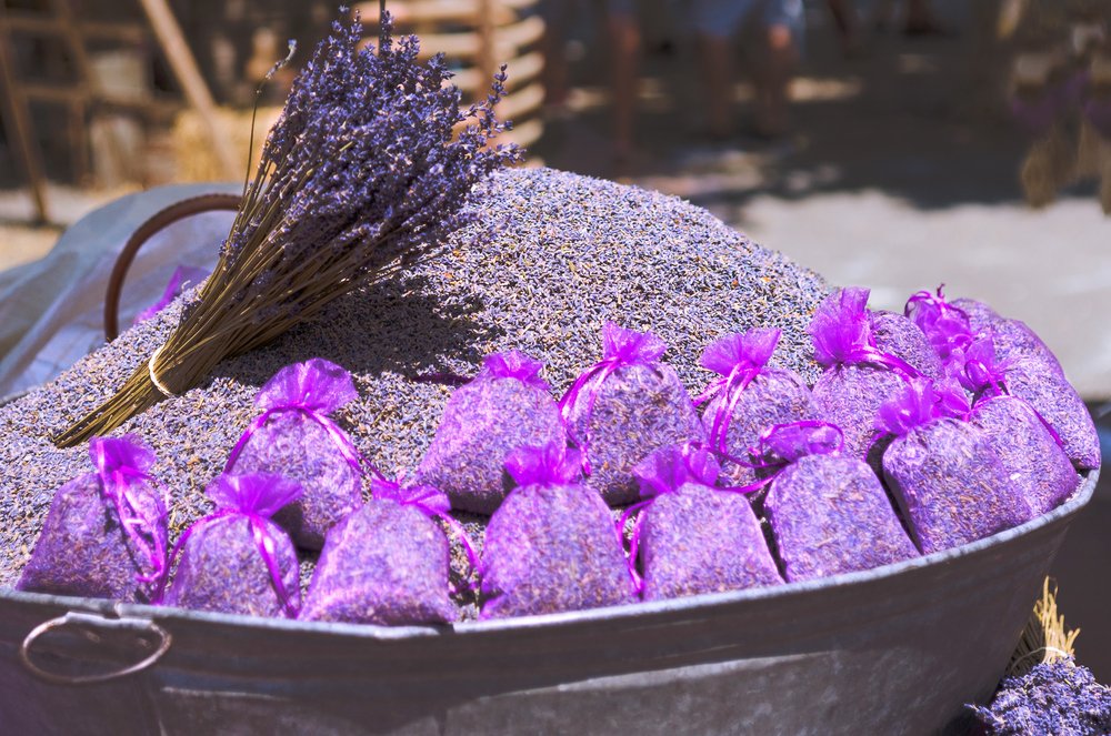 EXCURSIE 1 ZI LAVANDA FEST PITESTI