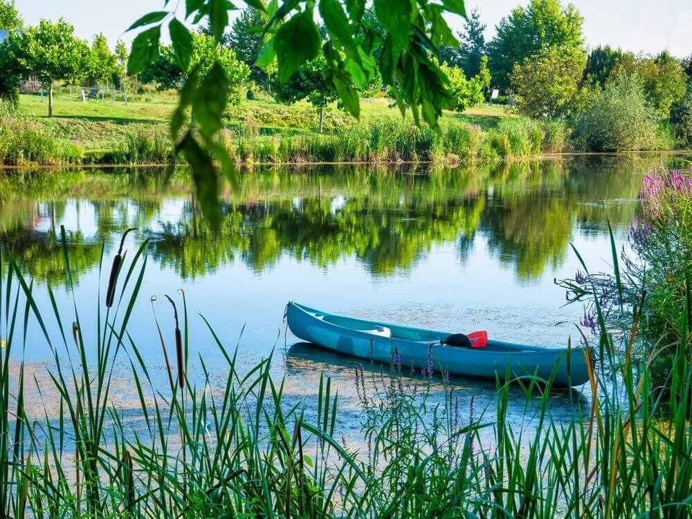 EXCURSIE 1 ZI RELAXARE LA COMANA