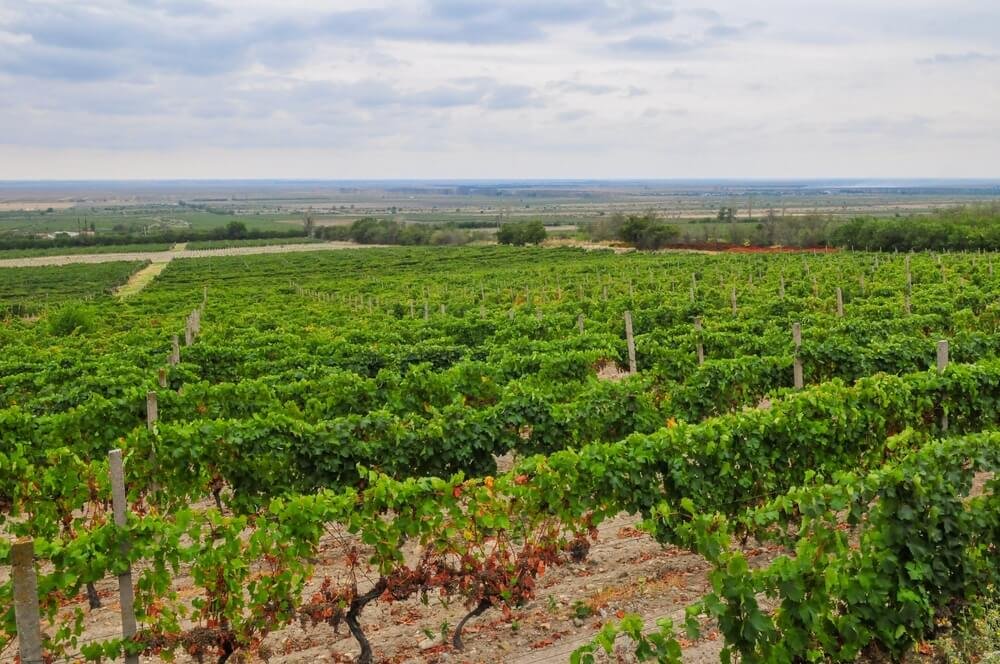 EXCURSIE 1 ZI DE TOAMNA PE DRUMUL VINULUI CRAMELE SERVE SI 1777